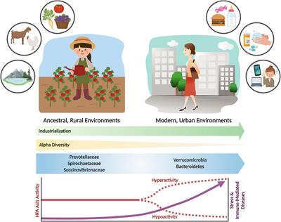 Evolutionary Significance of the Neuroendocrine Stress Axis on Vertebrate Immunity and the Influence of the Microbiome on Early-Life Stress Regulation and Health Outcomes